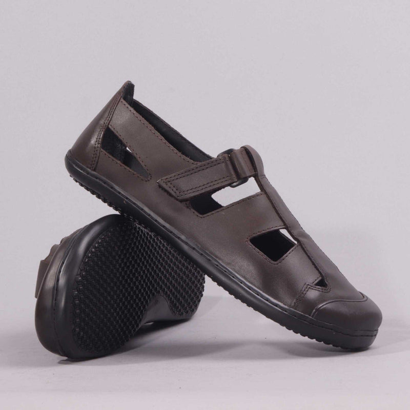 Boys School Sandal in Brown