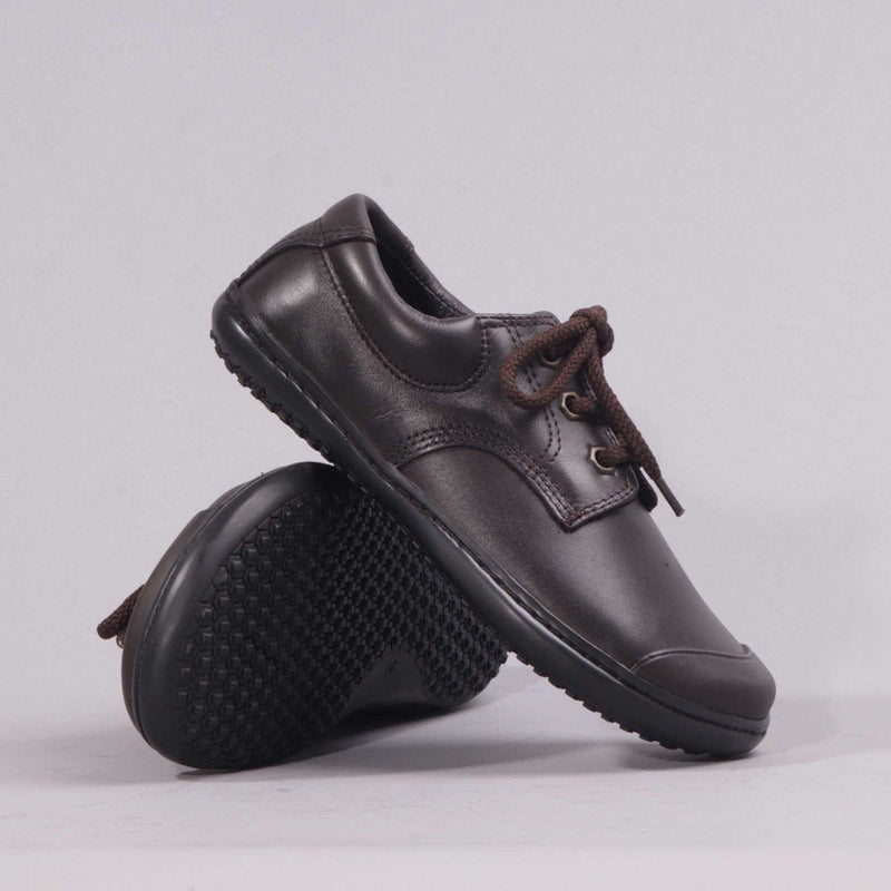 Boys Lace-up School Shoes in Brown