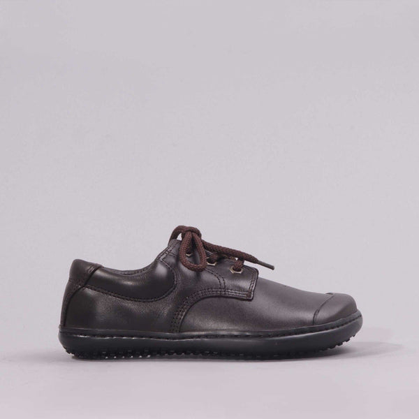 Boys Lace-up School Shoes in Brown