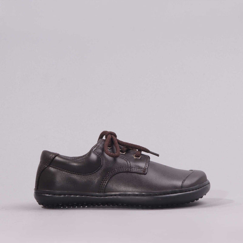 Boys Lace-up School Shoes in Brown