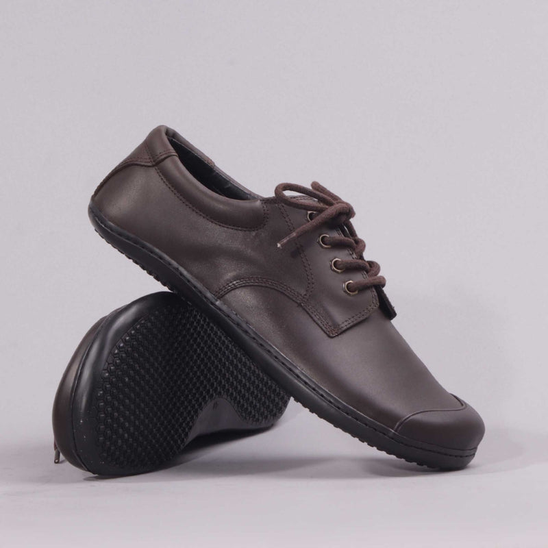 Boys Lace-up School Shoes in Brown 