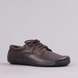 Boys Lace-up School Shoes in Brown 