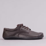 Boys Lace-up School Shoes in Brown 