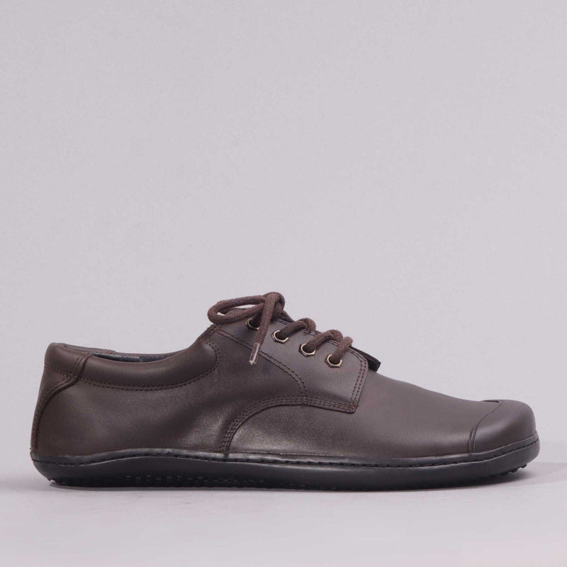 Boys Lace-up School Shoes in Brown 