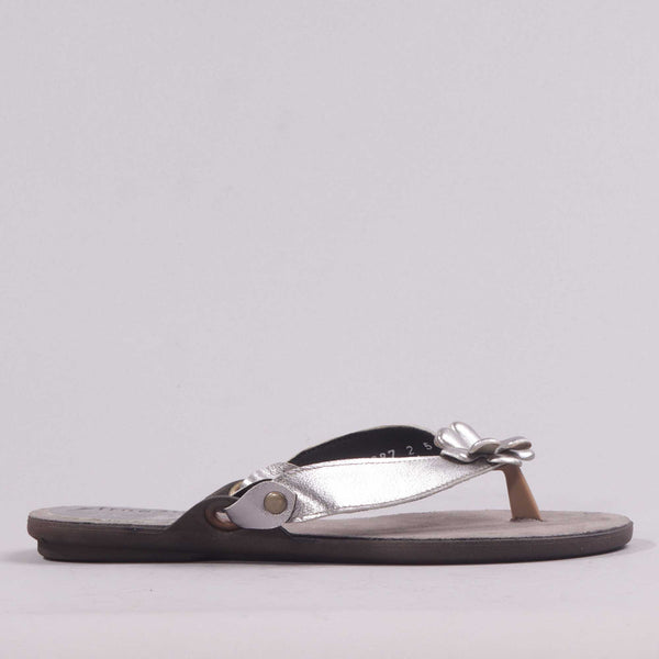 Flower Thong Sandal in Pewter - 7968 - Froggie Shoes